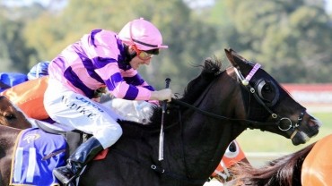 Belmont tips 2nd June
